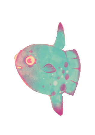 Jellies